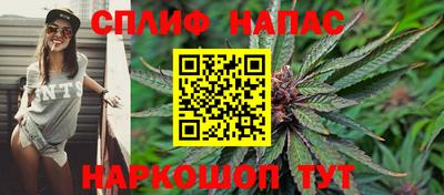 Альфа ПВП Обь