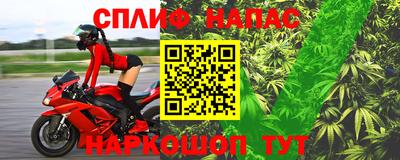 Альфа ПВП Обь