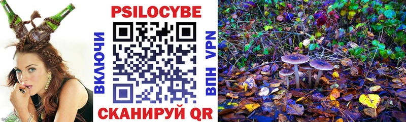 купить закладку  Чистополь  Галлюциногенные грибы MAGIC MUSHROOMS 