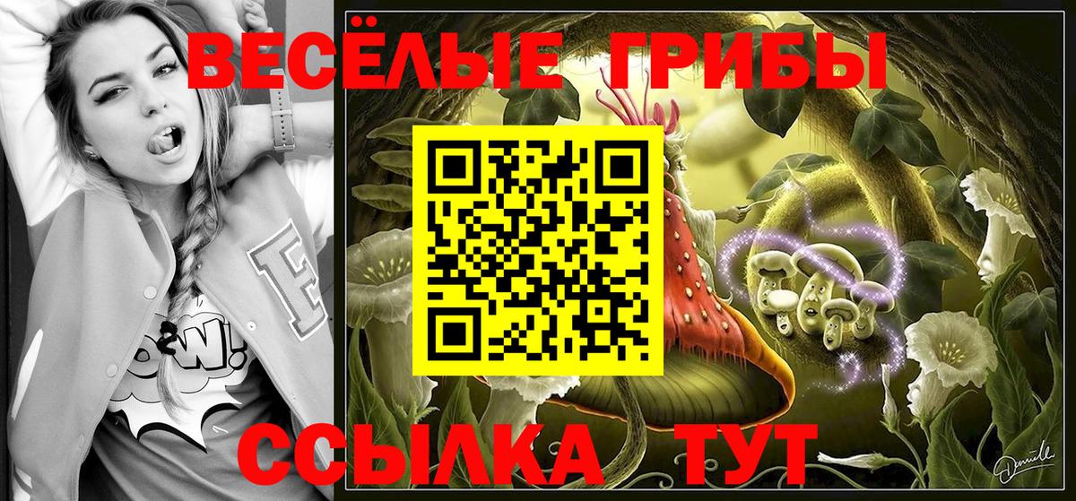 Чистополь  Псилоцибиновые грибы мицелий  Вход с VPN  где купить наркотик  Псилоцибиновые грибы ЛСД 