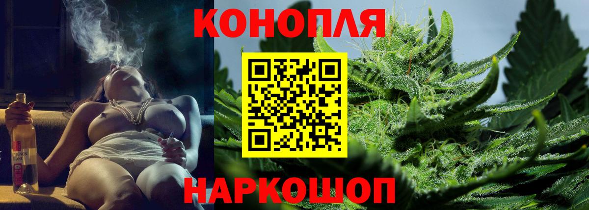 Шишки марихуана планчик  Вход с VPN  Бошки Шишки White Widow  Марихуана Bruce Banner  Чистополь 